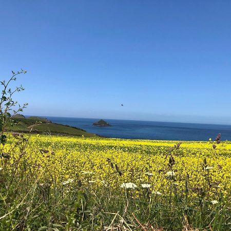 Little Valley View Otterham Bagian luar foto