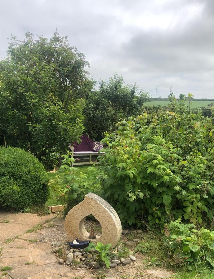 Little Valley View Otterham Bagian luar foto