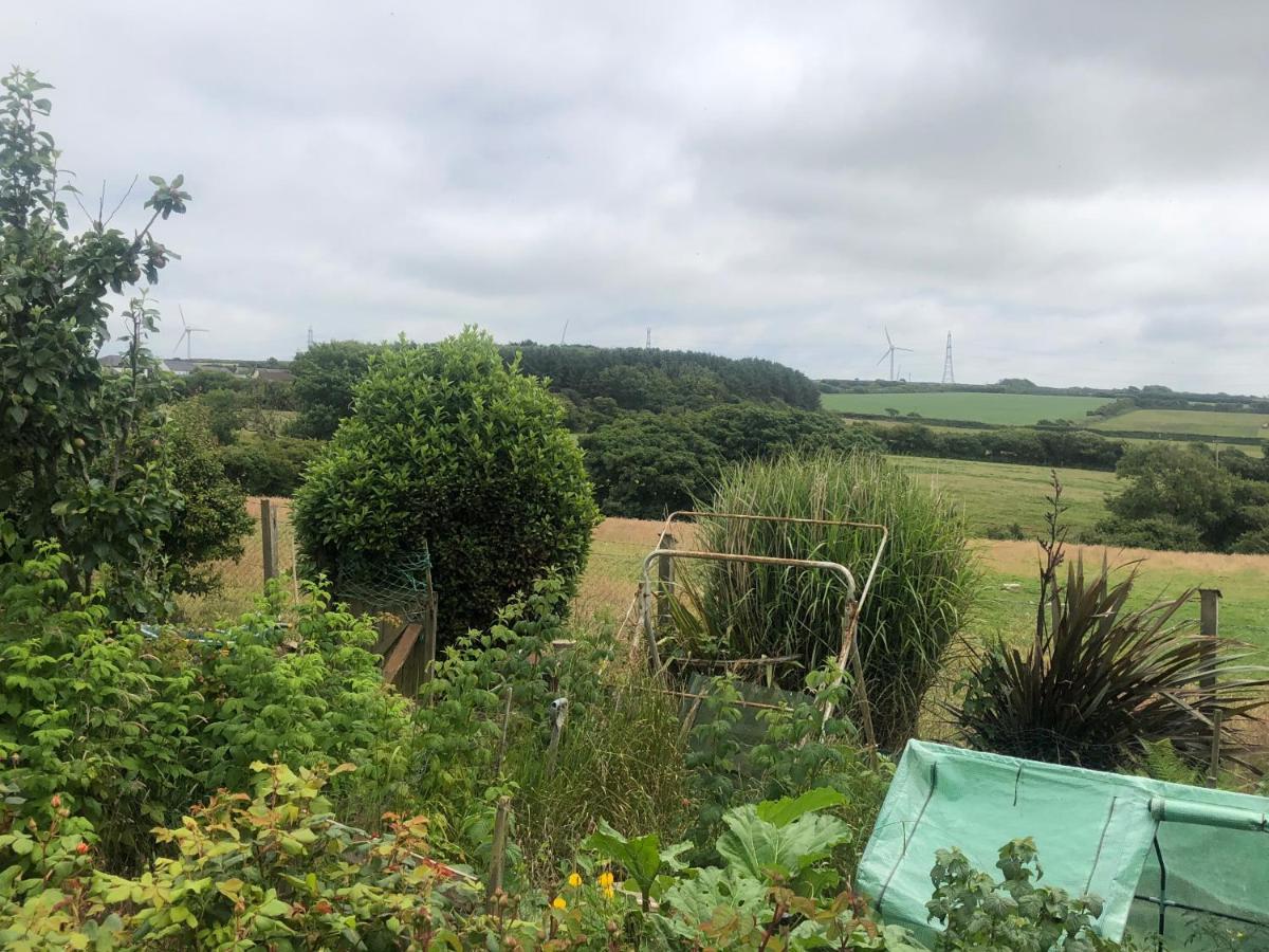 Little Valley View Otterham Bagian luar foto